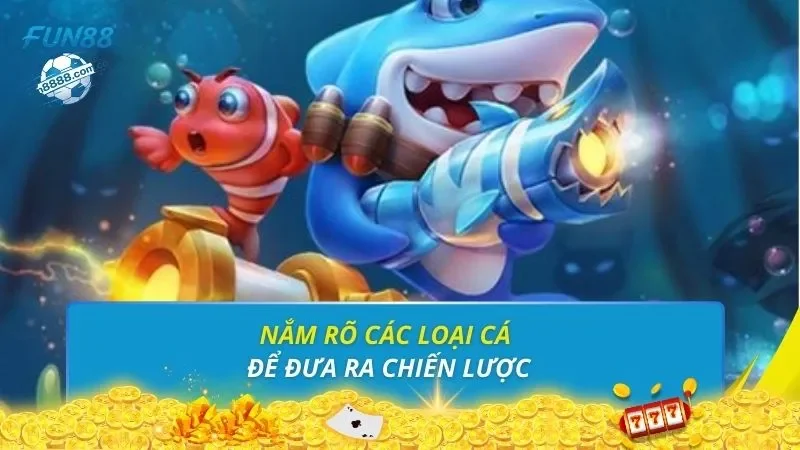 Nắm rõ các loại cá để đưa ra chiến lược