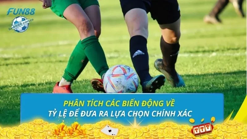 Phân tích các biến động về tỷ lệ để đưa ra lựa chọn chính xác